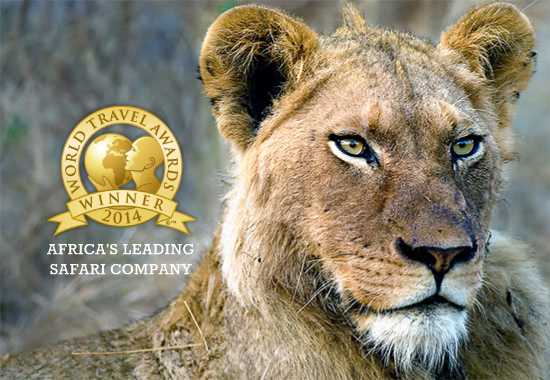 Africa's Leading Safari Company | World Travel Awards 2014