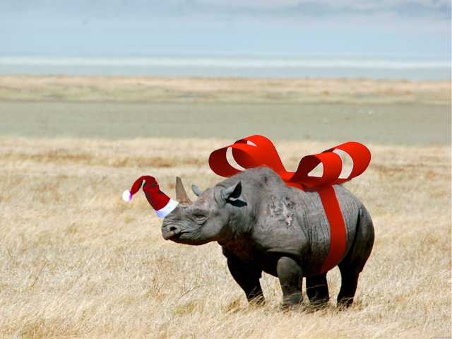 A Letter to Santa