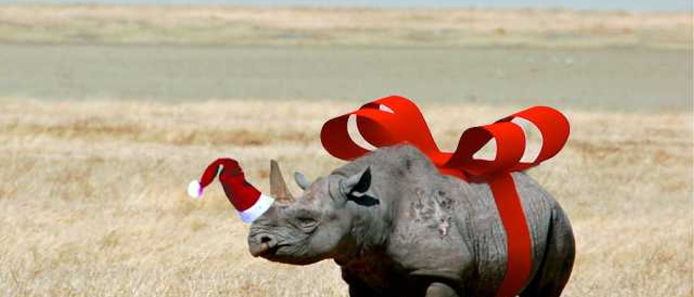 A Letter to Santa