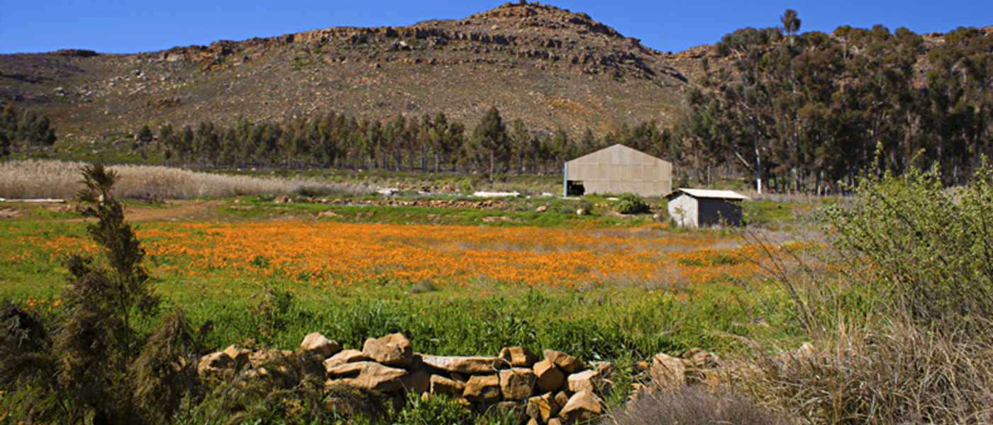 Cederberg Ridge Wilderness Lodge | Review 2019