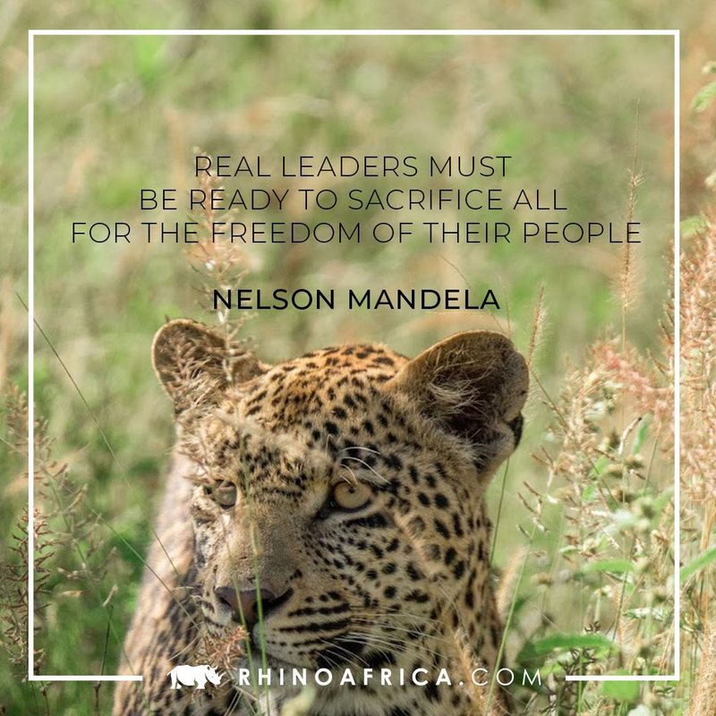 Quote from Madiba to celebrate Mandela Day