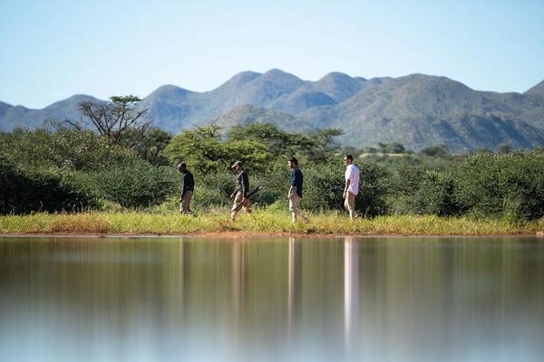 Top 5 Questions About Walking Safaris Answered