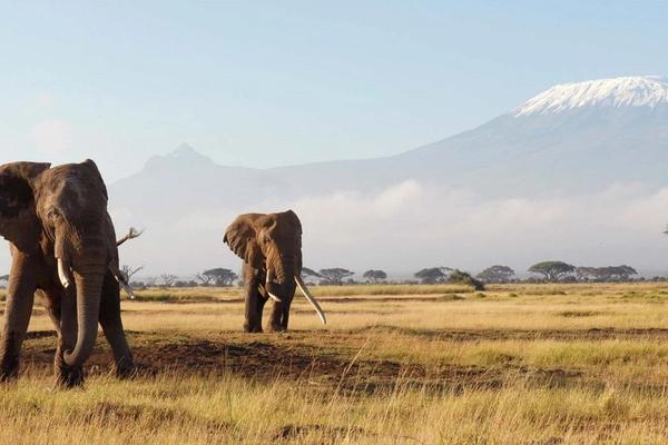 10 Insider-Approved Travel Tips for Tanzania