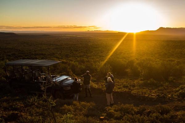 Rhino Encounters, Cheetah Walks & Samara's Brave Vision | Rhino Africa