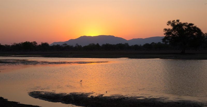 Banhado em um brilho laranja, Mana Pools se mostra para terminar o dia