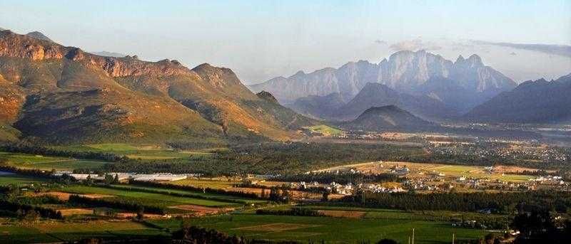 The Cape Winelands