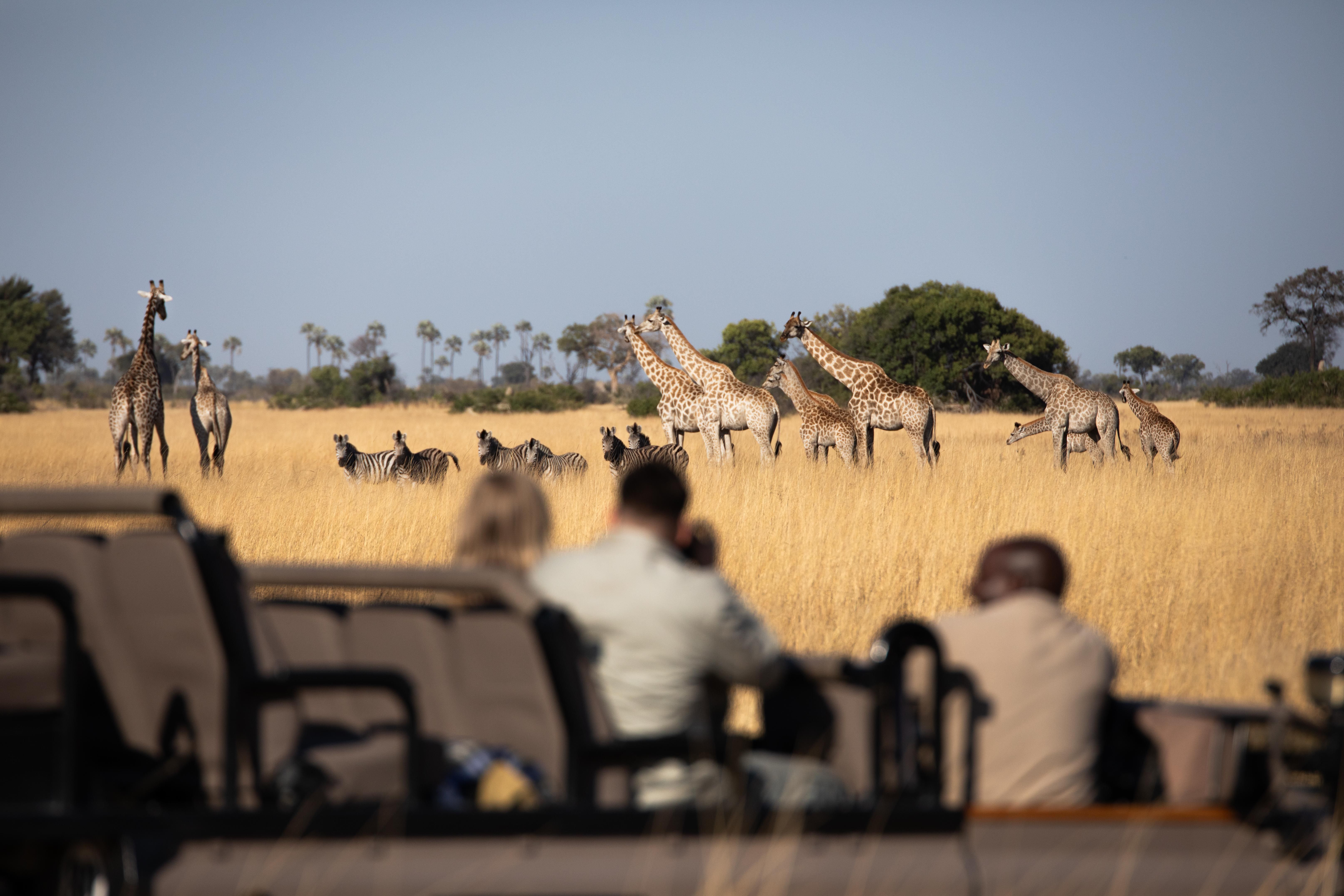 How to Pack for a Safari: Smarter, Safer, Lighter