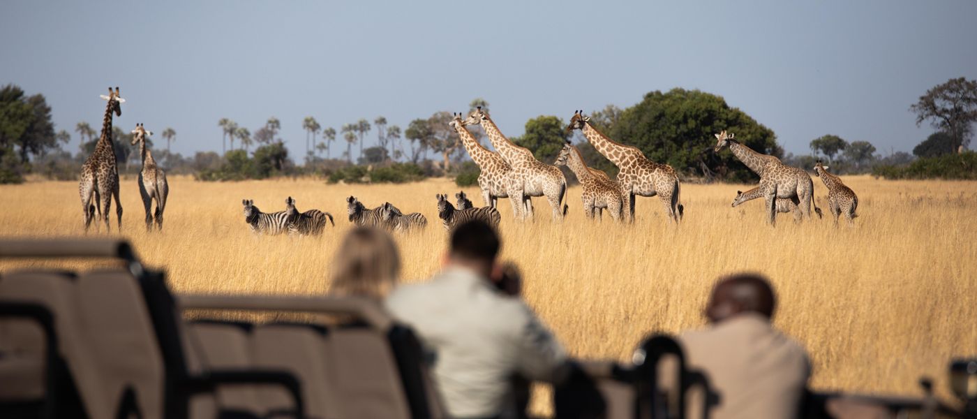 How to Pack for a Safari: Smarter, Safer, Lighter