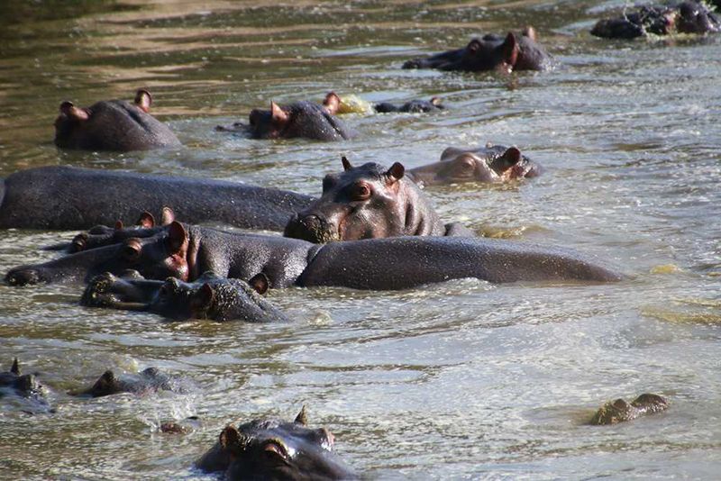 Africa’s Top 3 Wildest Places