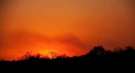 Sunset over Londolozi