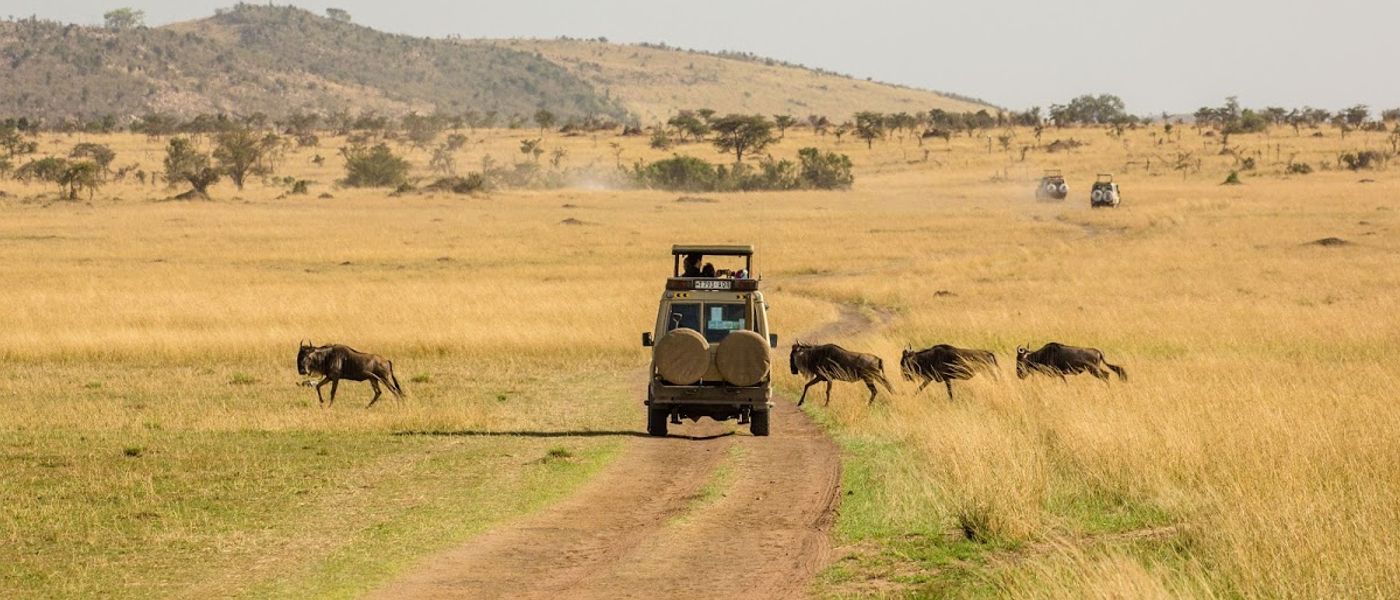 The Ultimate Guide to an East African Safari
