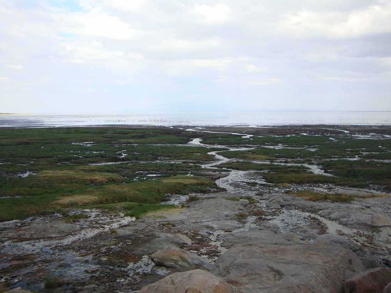 Lake Manyara National Park