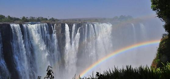 A Zimbabwe Safari Through Jan’s Eyes