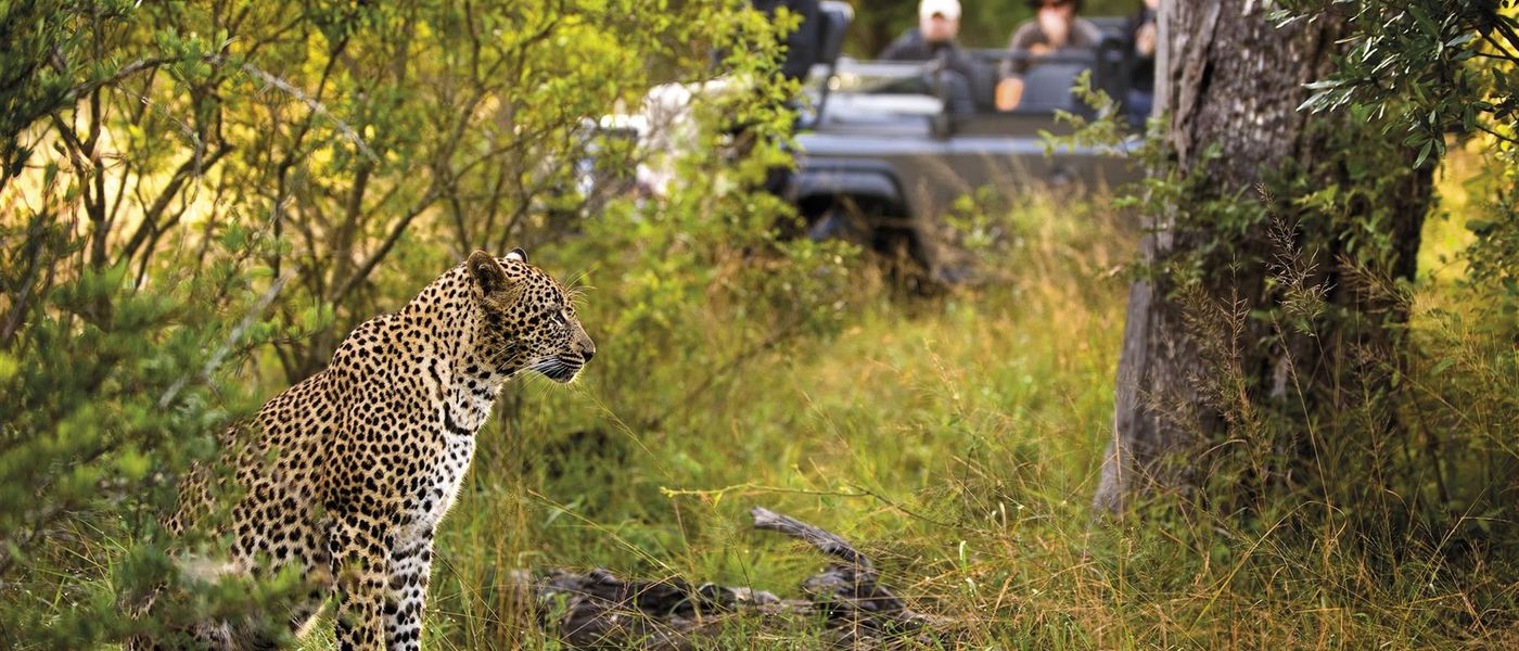 4 raisons de faire un safari au Parc National Kruger