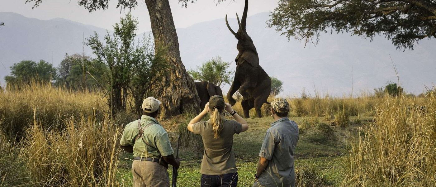 5 Things to Love About Mana Pools