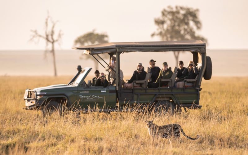 Encuentros cercanos en un safari familiar privado