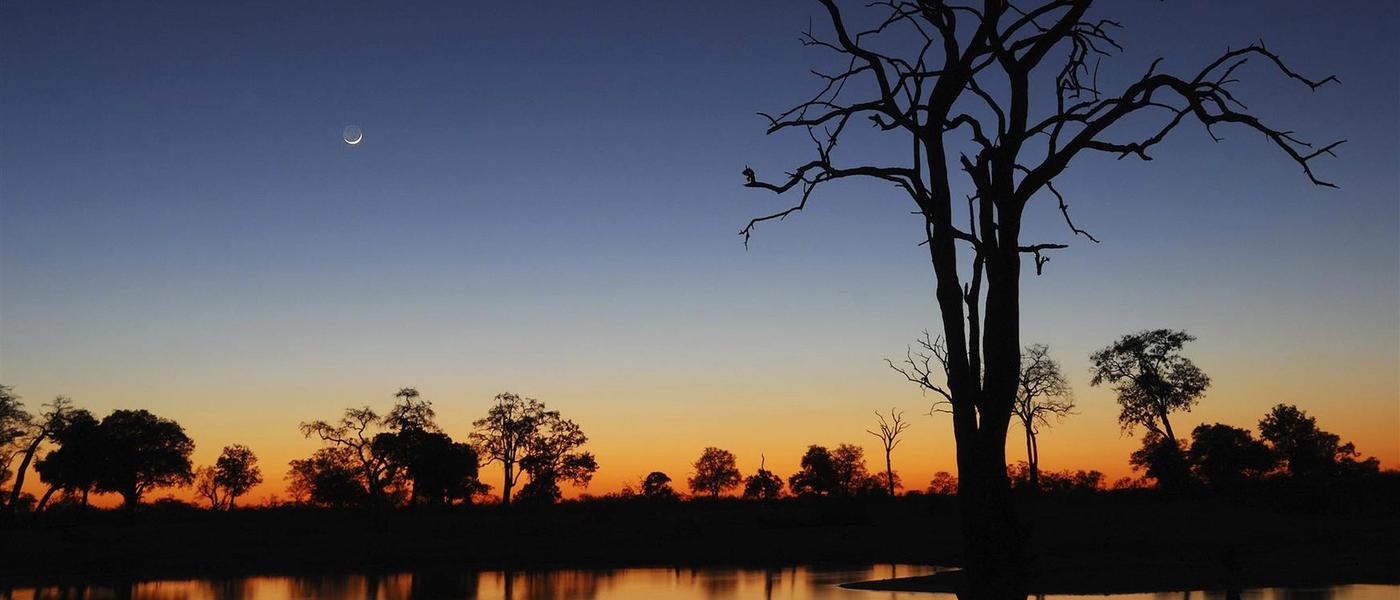 Zambia Safari: Where The Wild Feels Closer