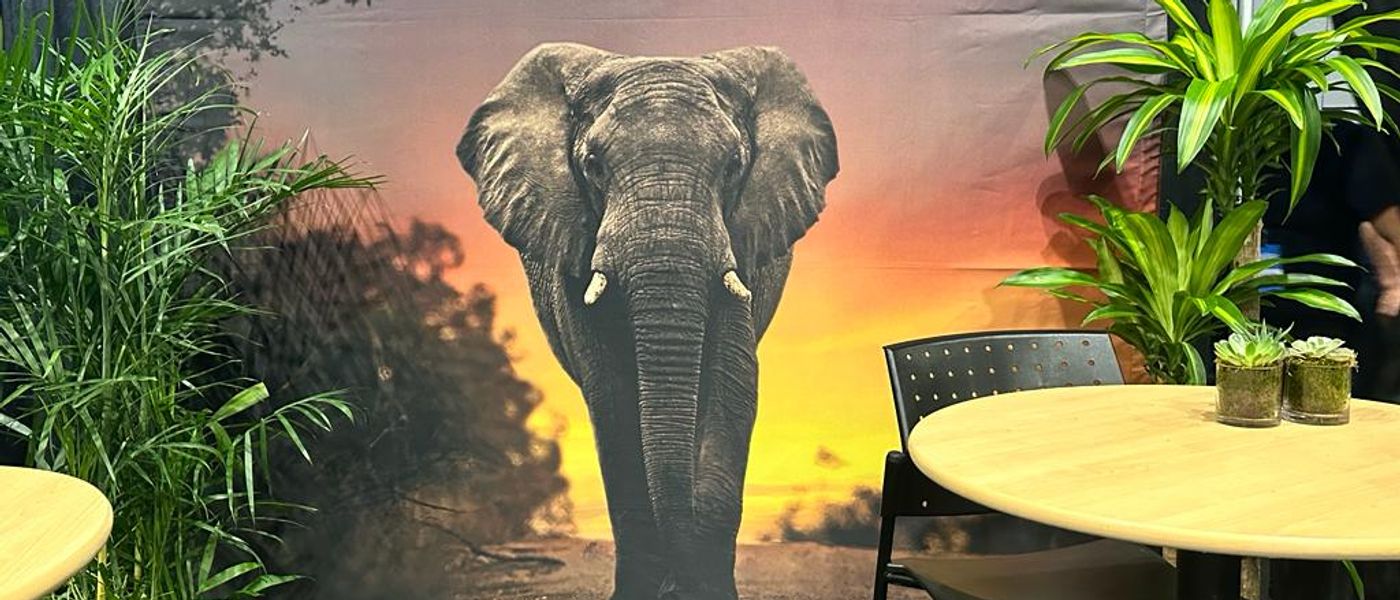 Rhino Africa Takes On The New York Travel and Adventure Show 2024