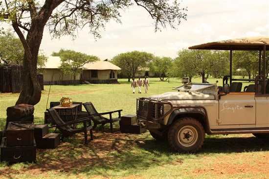 Drive up to Sabora for your tented camp stay