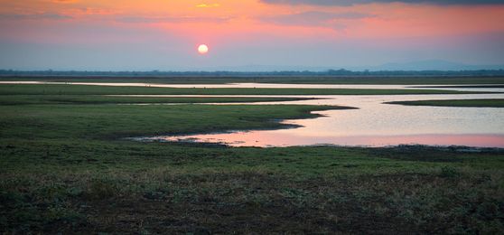 Gorongosa : Explorez le véritable miracle du Mozambique