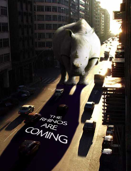 The Rhinos Are Coming To The New York Travel Show!