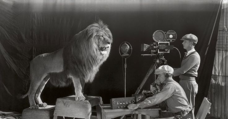 Chroniques du cinéma africain : débuts et essort