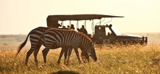 Safári na África Oriental e Austral | O que esperar de cada experiência