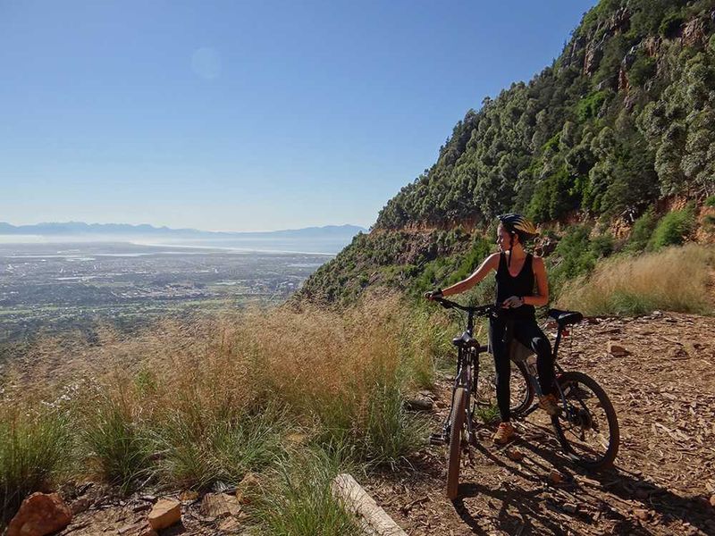 The Mountain Biker