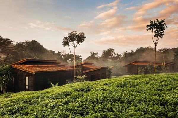 Tour por Ruanda y la República del Congo