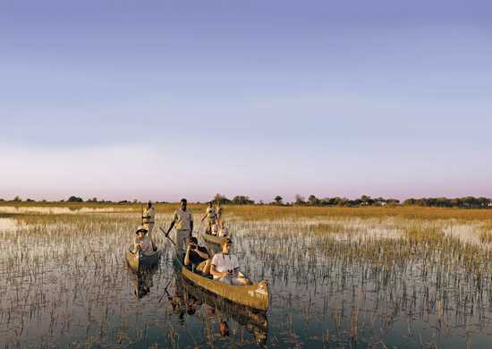 What's What in Botswana