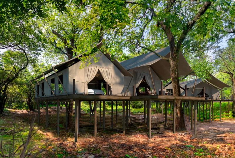 A render of what we can expect Mara Toto Tree Camp to look like
