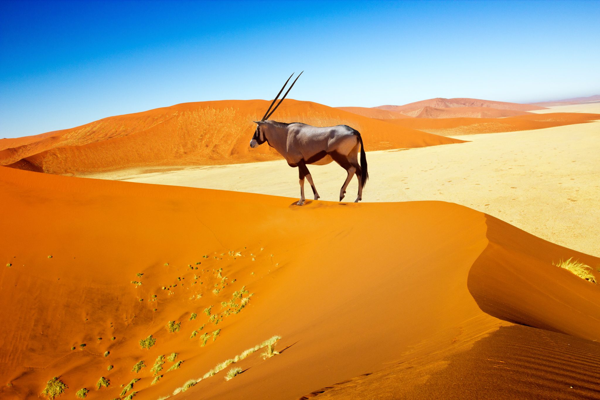Meine Reise | Afrika für Einsteiger: Namibia