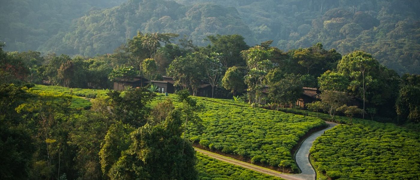 When Is The Best Time to Visit Rwanda?