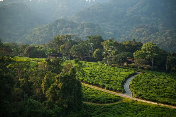 Qual é a melhor época para visitar Ruanda?