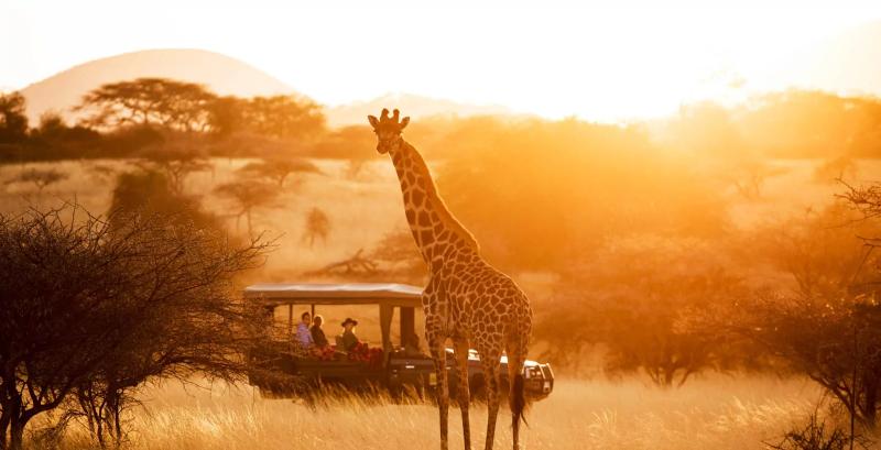 Giraffe und Pirschfahrzeug nahe der Ol Donyo Lodge in Kenia