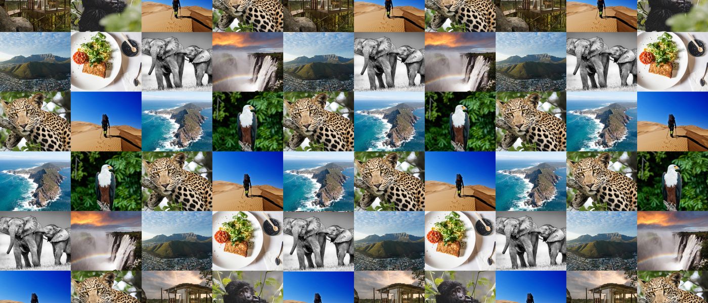 We’re nominated for SA Blog Awards! Here are our top 10 blogs from 2016
