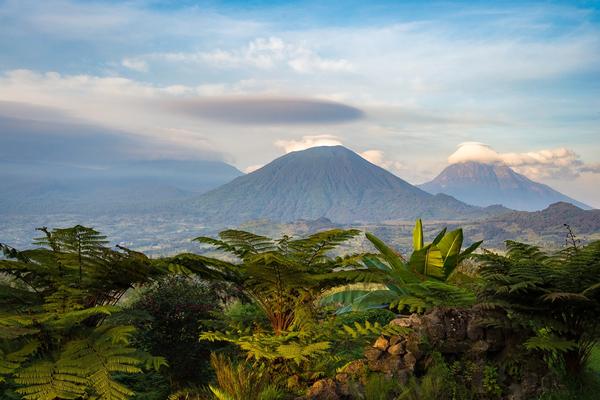 When Is The Best Time to Visit Rwanda?