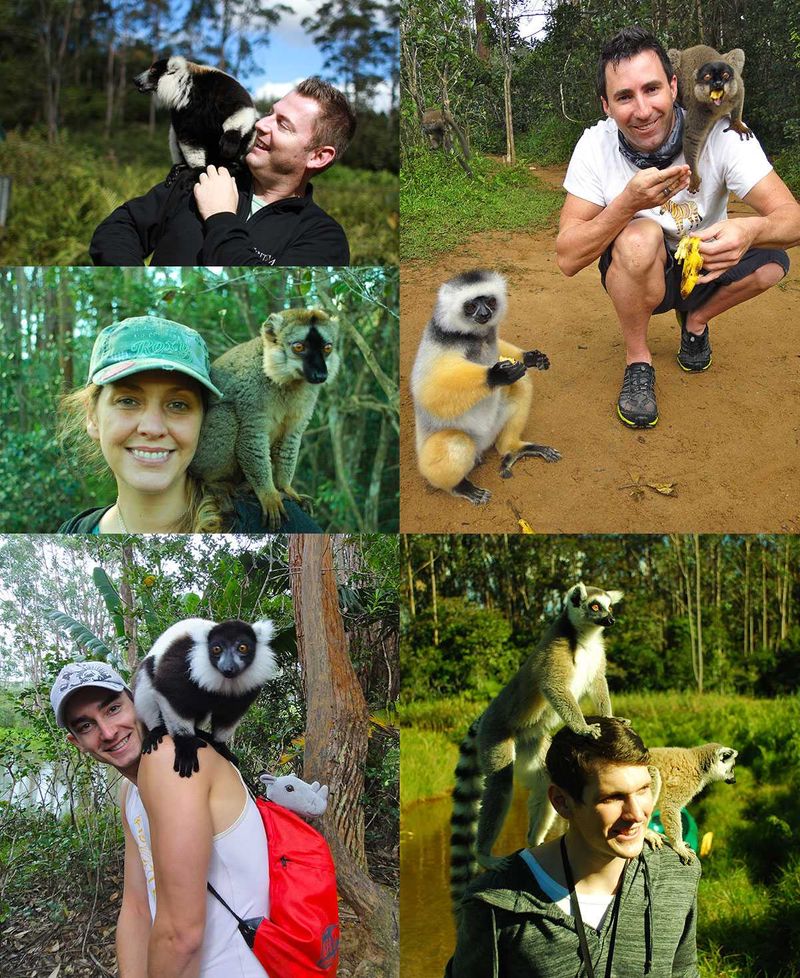 It's a lemur's life: Billy, David and Bianca in Madagascar
