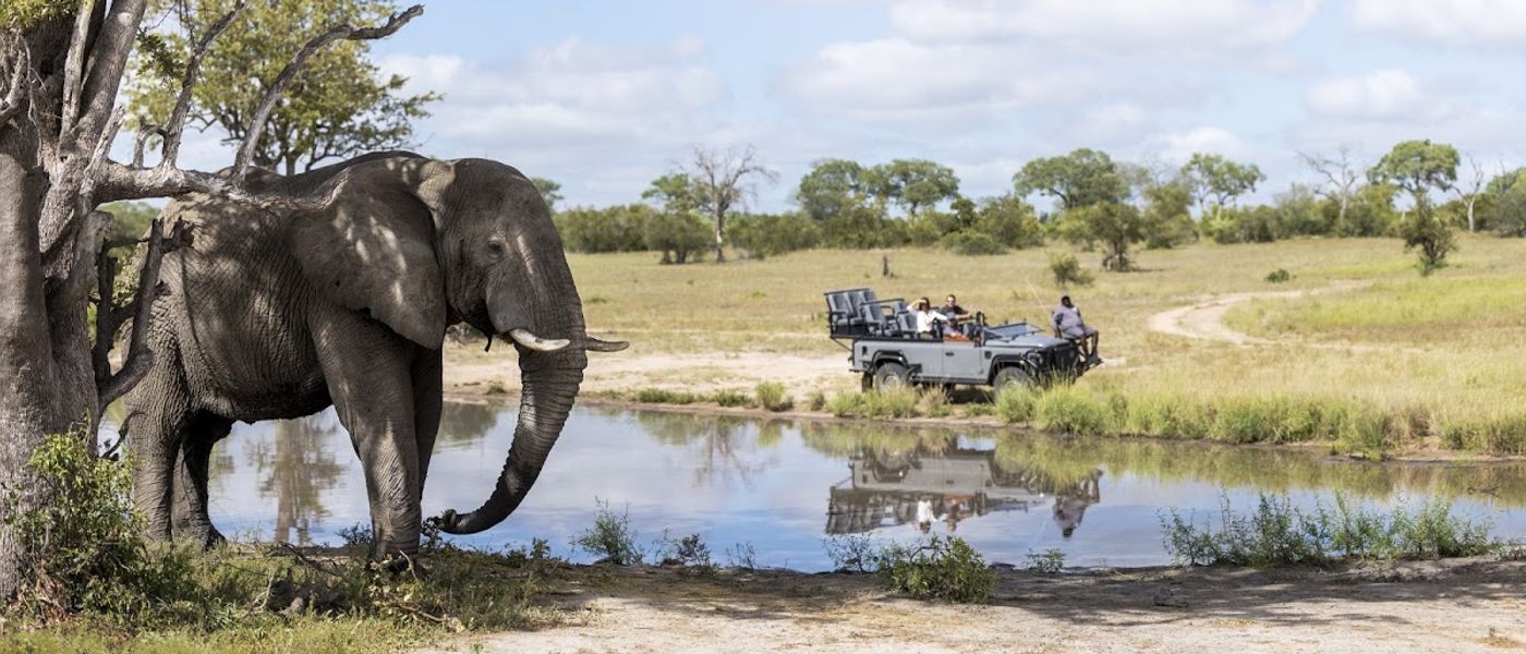 What Makes Silvan's Elephants So Special: Silvan Safari Blog