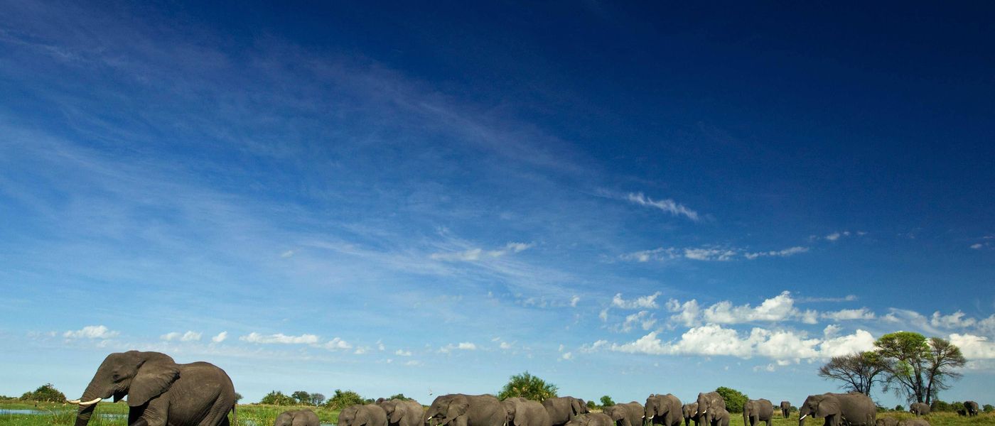 8 raisons de visiter le Botswana pendant la Saison des Pluies