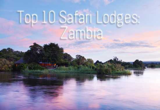 Rhino Africa's Top 10 Safari Lodges in Zambia 2012