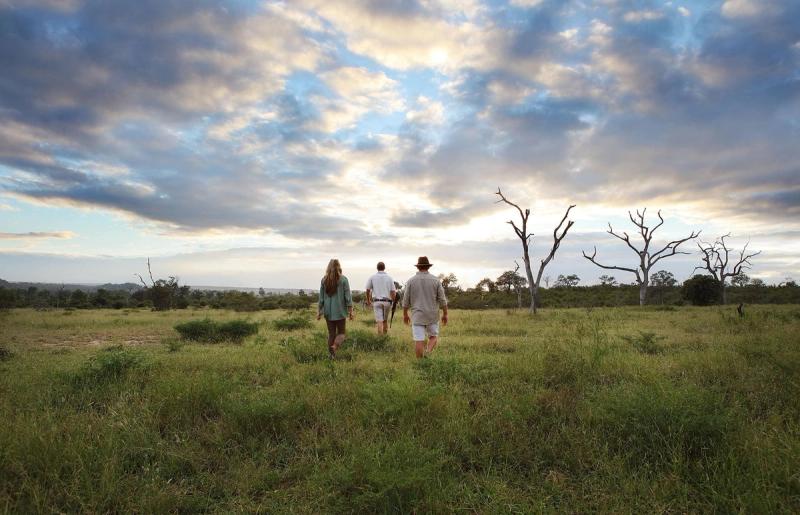 Walking safaris at Londolozi 
