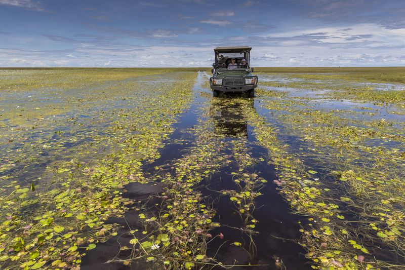 Liuwa game drive