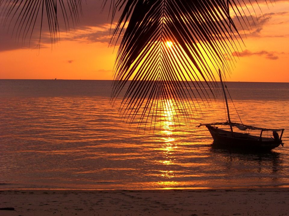 Zanzibar : une bouteille à la mer