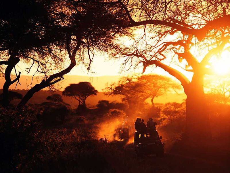 Tarangire National Park | Photograph by Ian Cummings