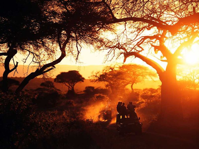 Tarangire National Park | Photograph by Ian Cummings