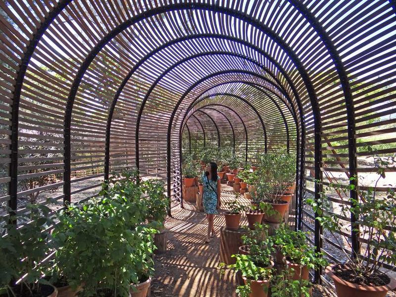 The Gardens of Babylon