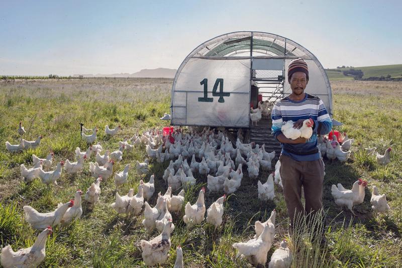 Spier is ultimatrely a farm, with a range of produce