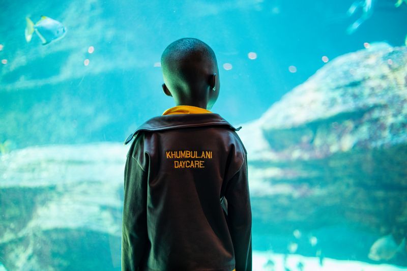 The children were captivated by all of the amazing underwater exhibits