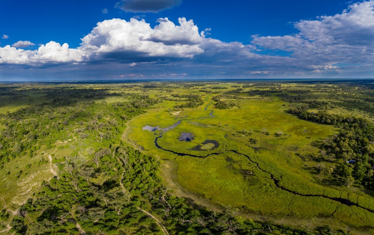 10 Reasons the Green Season Makes for an Extraordinary Botswana Safari